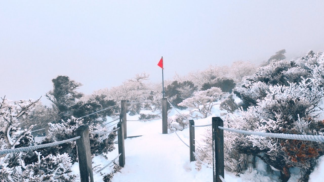눈꽃 세상, 겨울 한라산을 걷다 🎧 𝒫𝓁𝒶𝓎𝓁𝒾𝓈𝓉 #겨을 #한라산 #힐링 #오즈모포켓3
