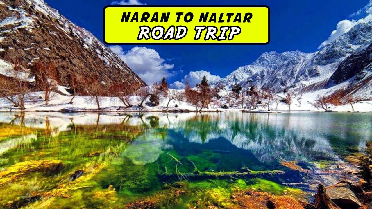5 Amazing Things To See In Naltar Valley Trip | Explore Naran To Naltar Road Trip | Karakoram High