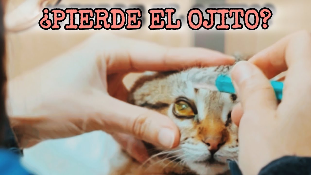 Transformación después del Amor 