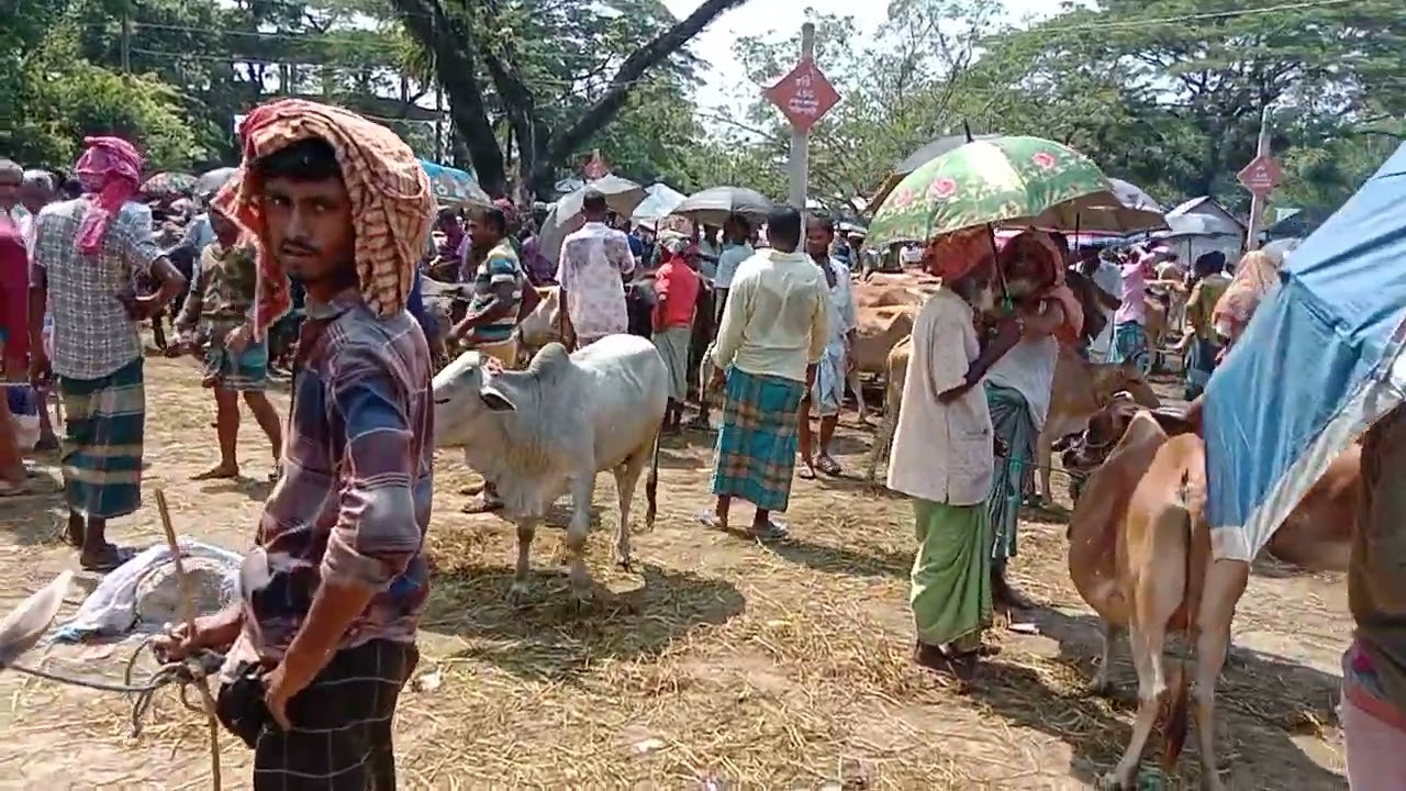 আমার বাজার আমার ঐতিহ্য,,, ধর্মপাশা উপজেলা।।।। Bangladesh