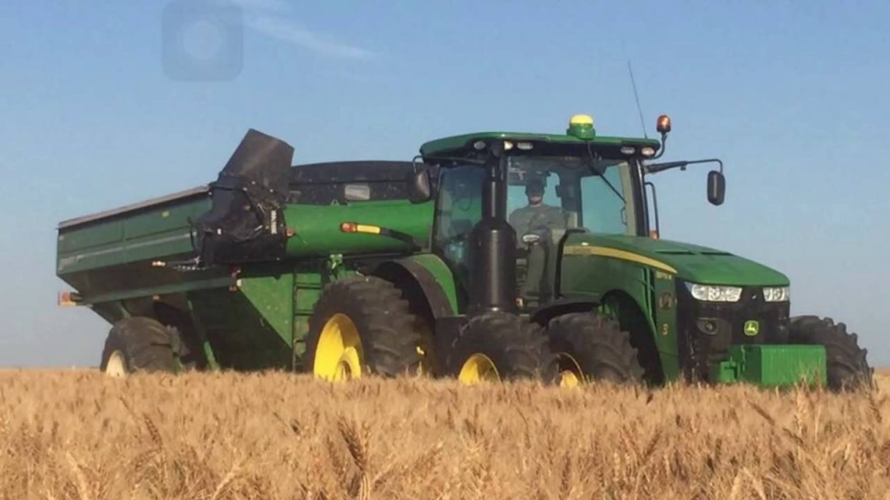 Frederick Harvesting wheat harvest 2016