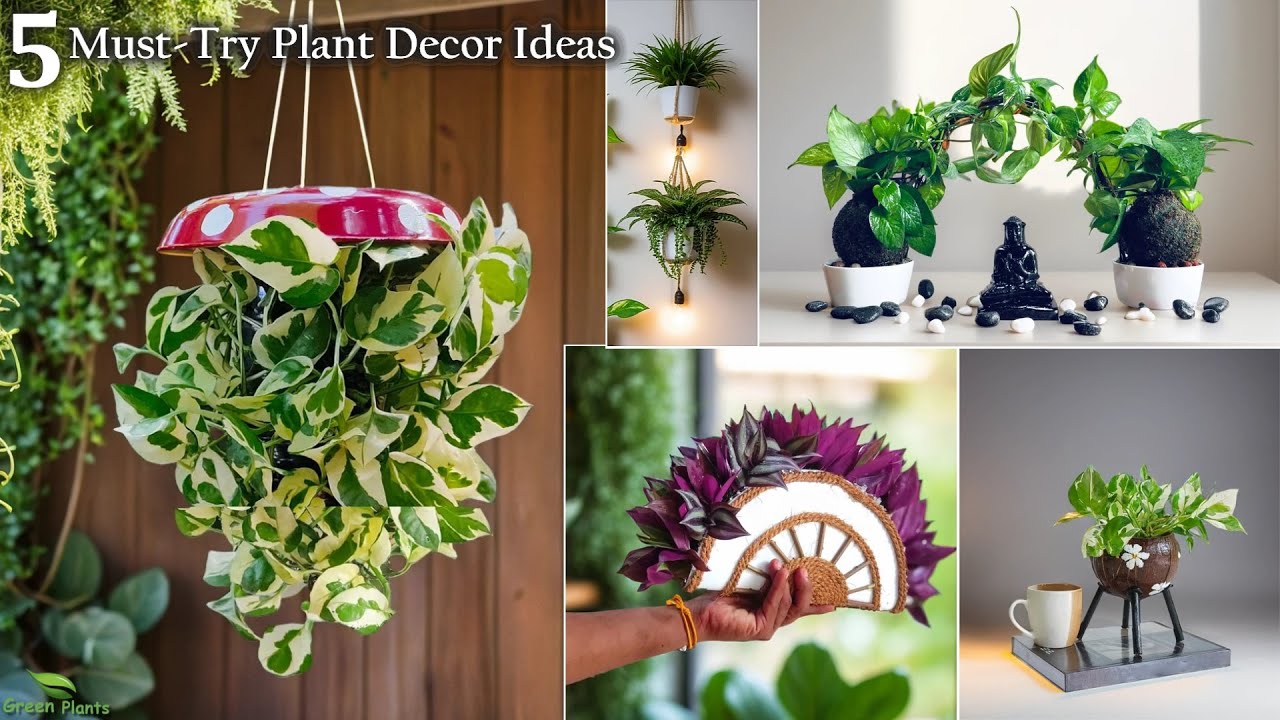 5 Common Houseplant Idea That Thrive Indoors & Add Natural Beauty to Your Living Space//GREEN PLANTS
