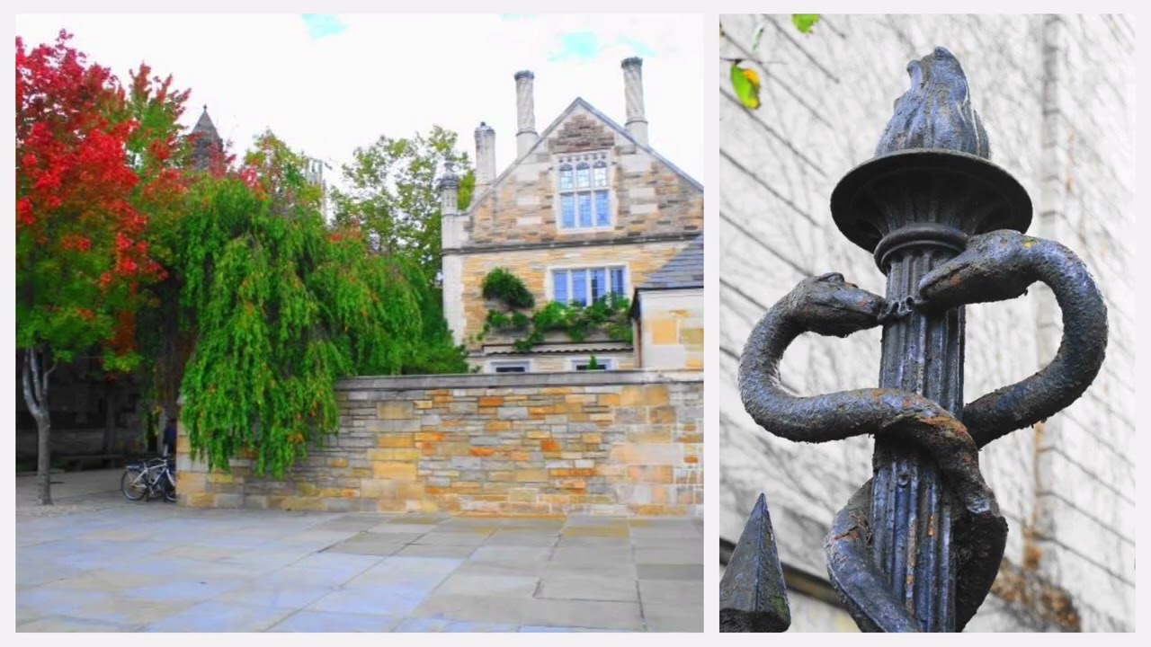 Yale University