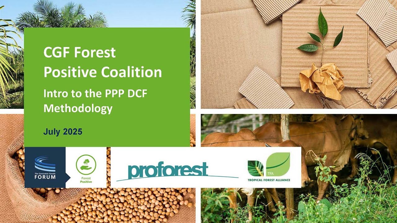 Forest Positive Coalition | Intro to the PPP DCF Methodology