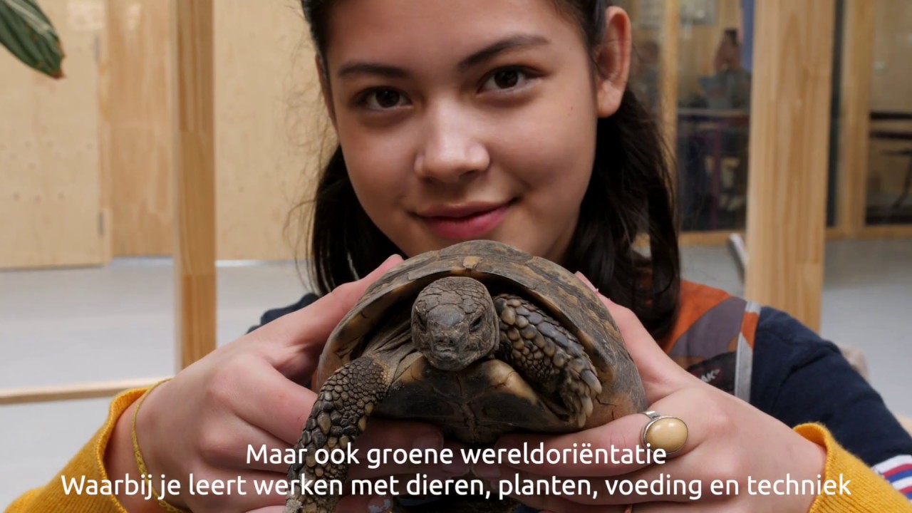 Zone.college Enschede