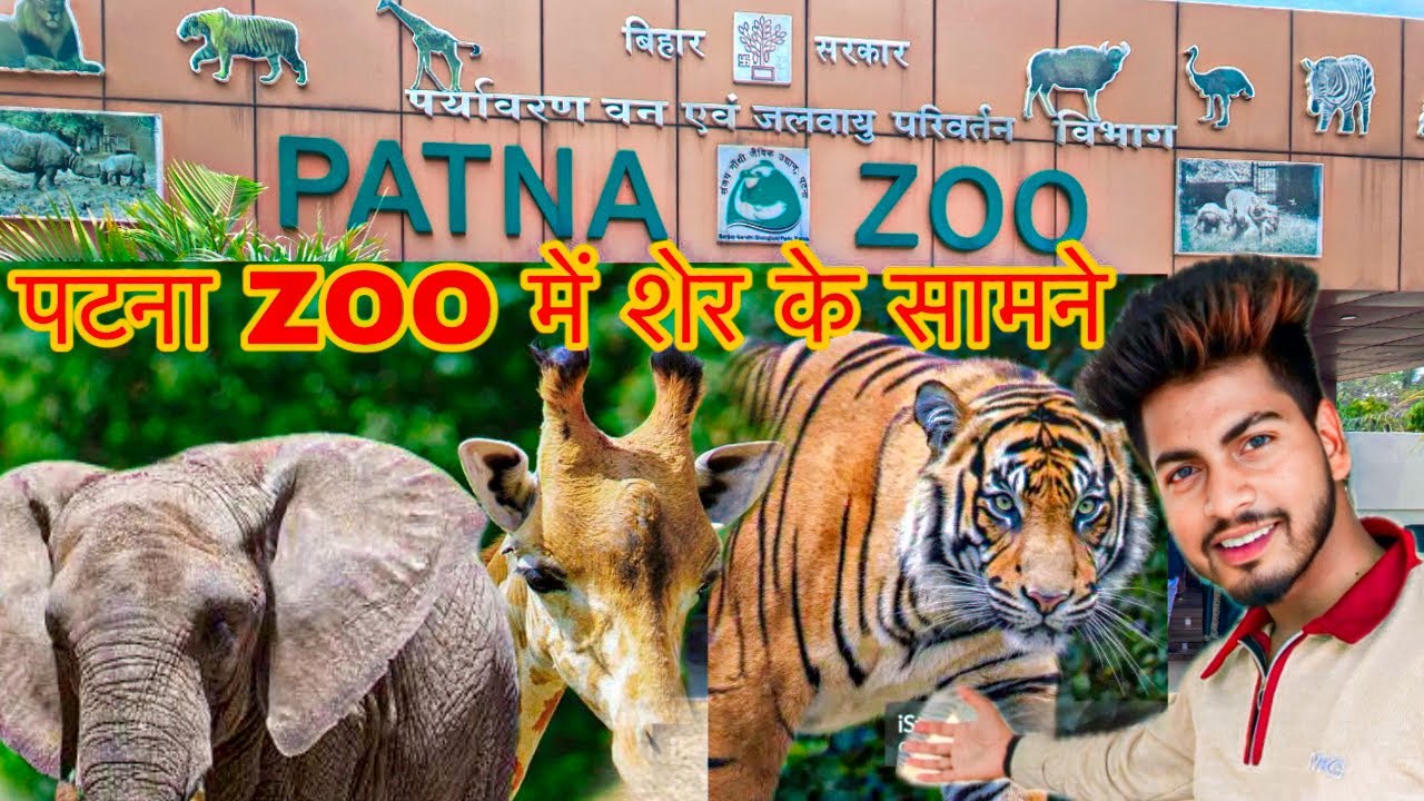 Patna Zoo Vlog | Full Animal Tour 2025|Sanjay Gandhi biological park #patnazoo