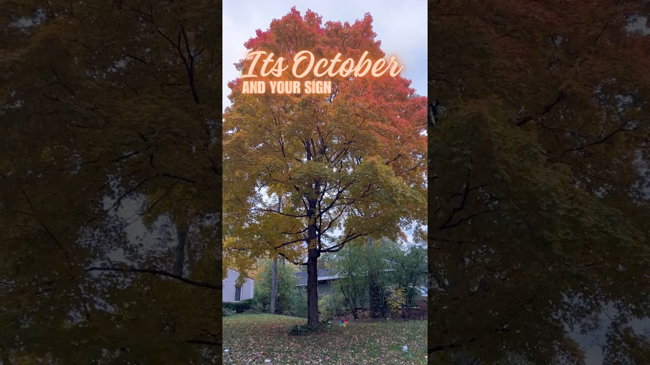 Its October! #craftycrochetcastle #crochetfreepattern #fallleaves #earwarmer #crochetheadband