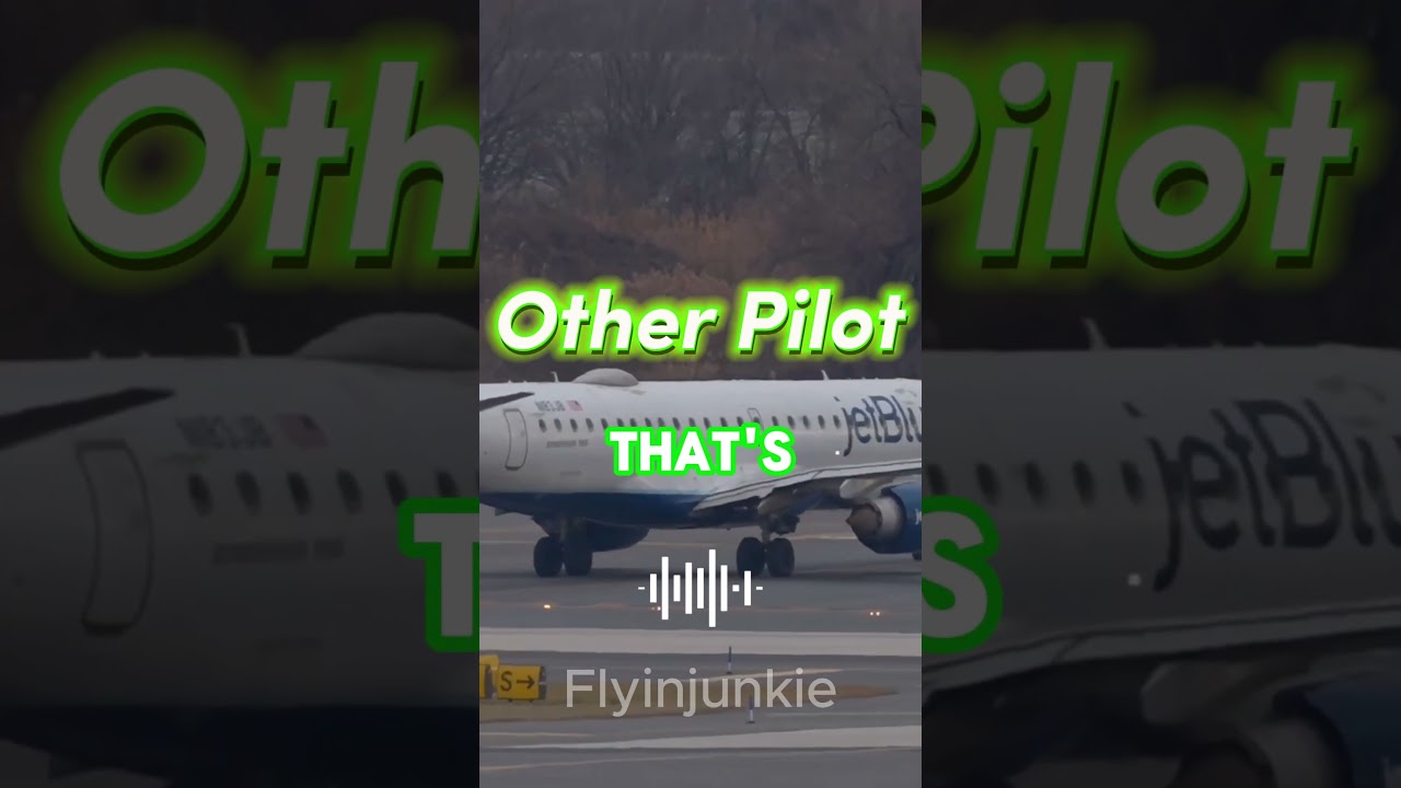 Air Traffic Controller Loses It After Pilot's Big Mistake!