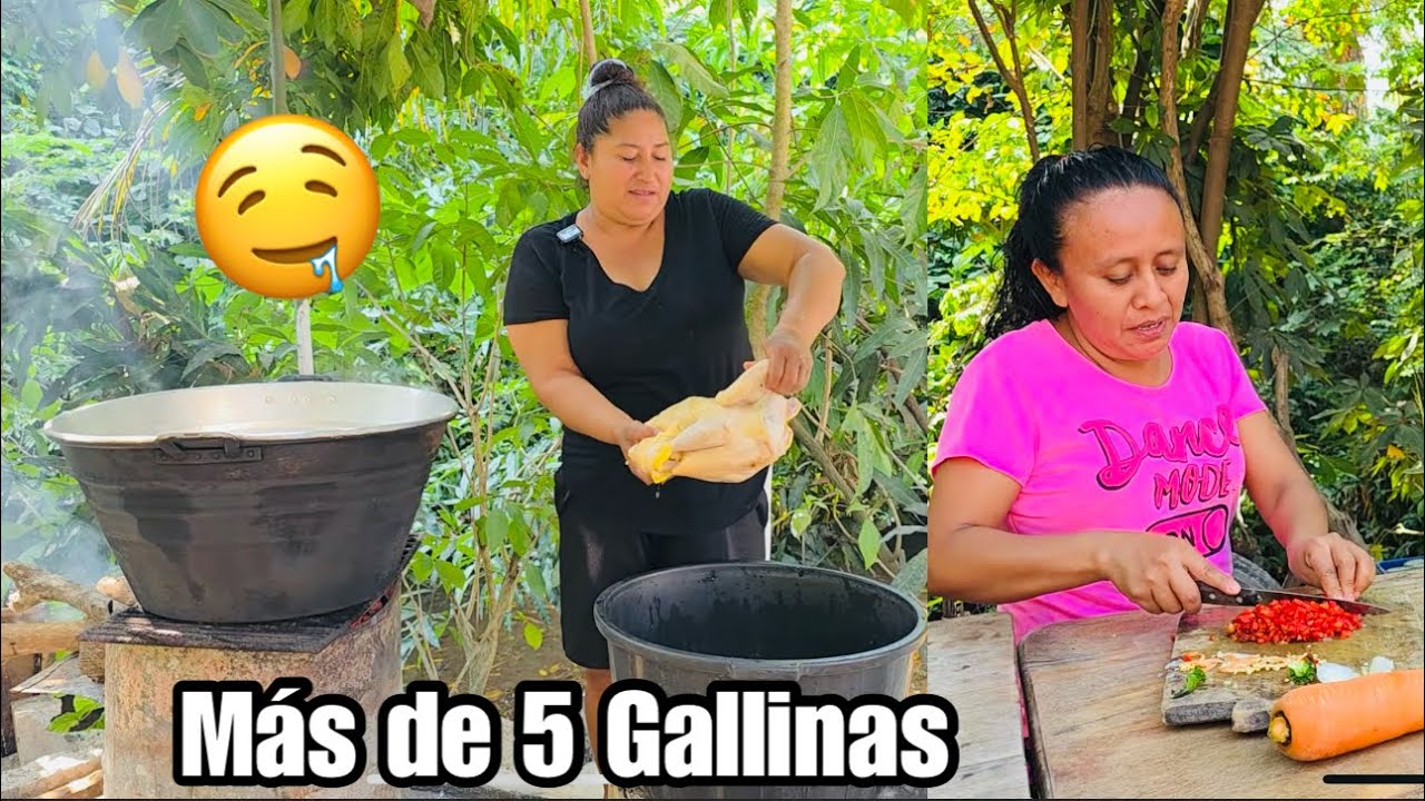 Mira Todas Las Gallinas que Se Cocinaran, Mi Mamá No Para 