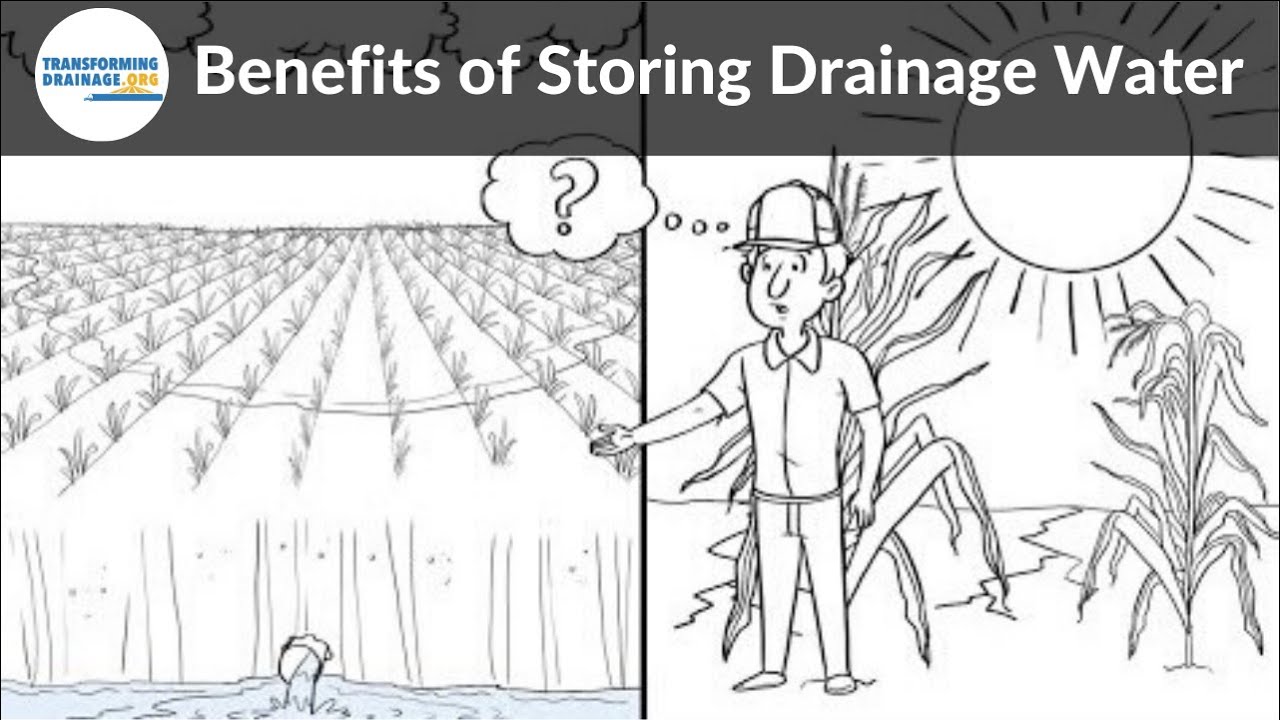 Benefits of Storing Drainage Water