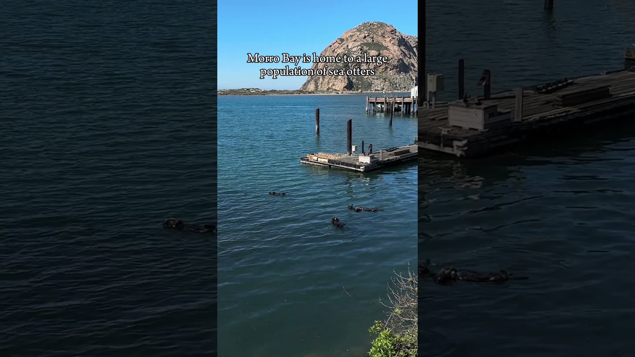 FUN facts about Morro Bay, CA