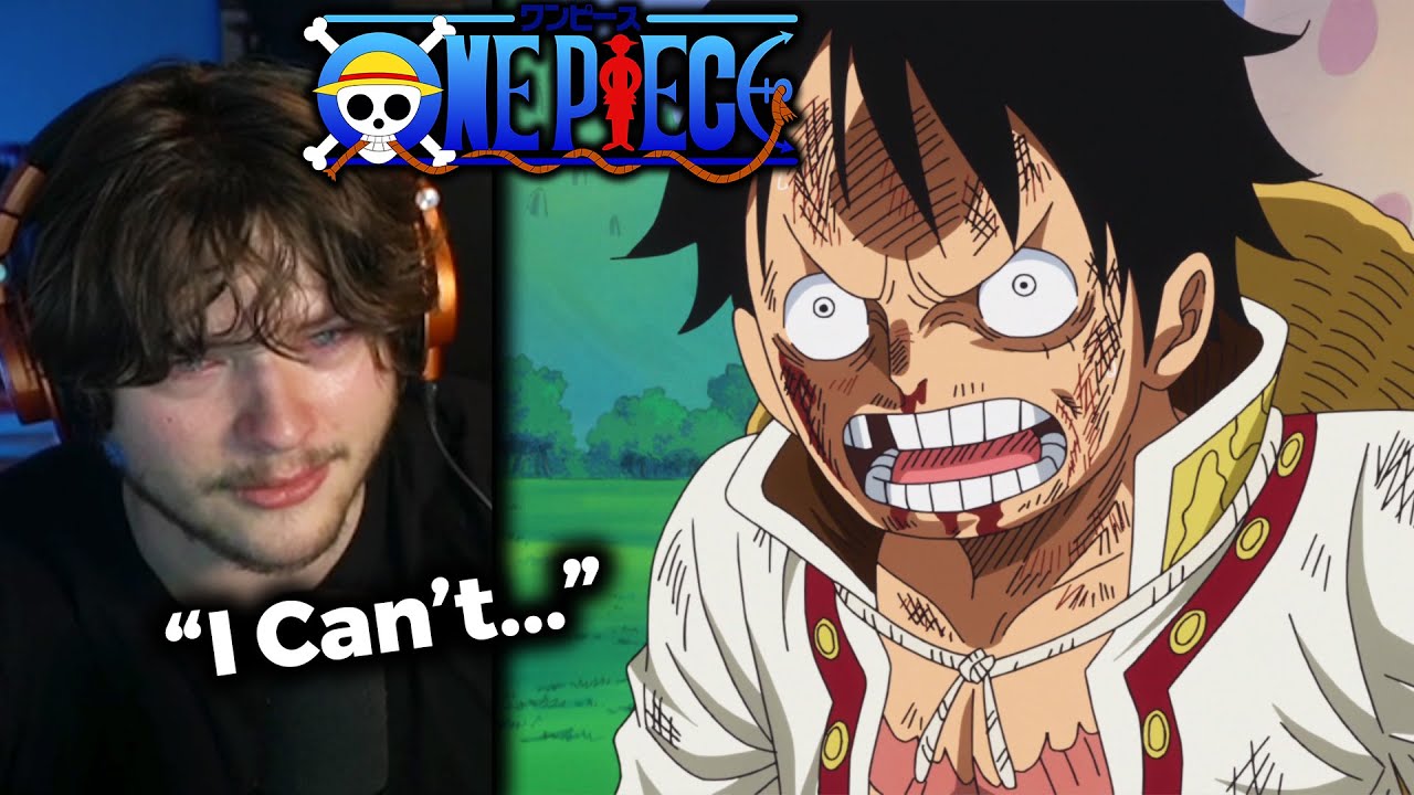 Luffy VS Sanji has destroyed me...