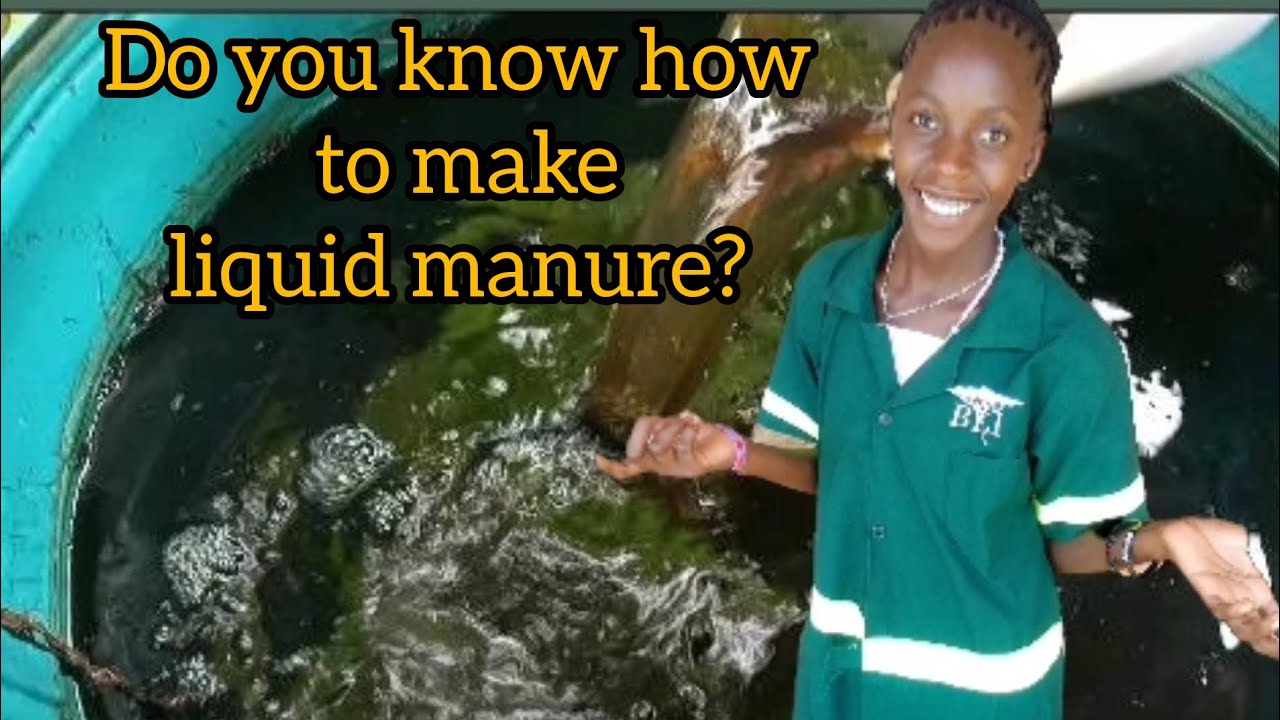 How to make organic liquid manure for agricultural farmers.#VLAND TV
