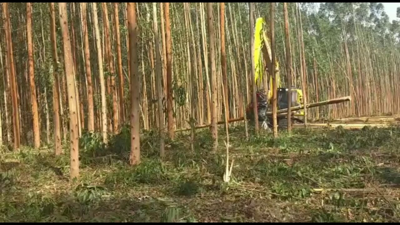 Komatsu PC200F harvester