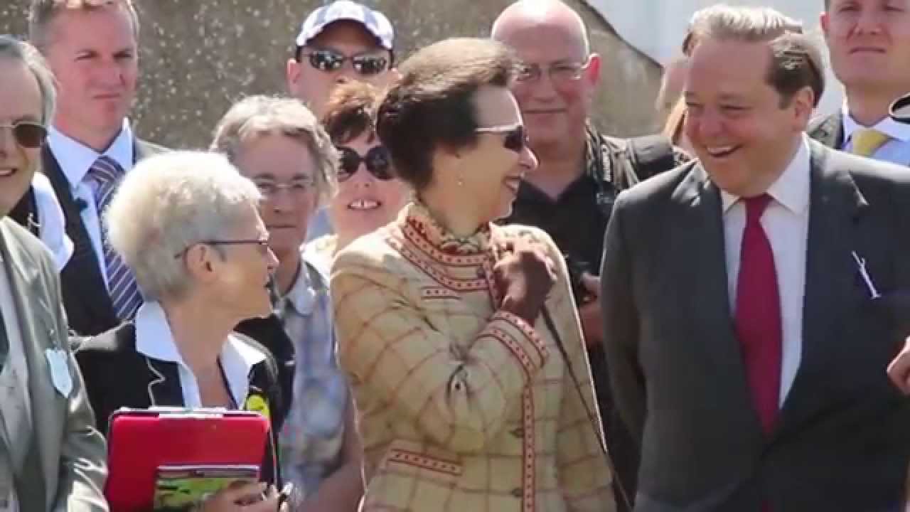 Highlights from the Great Yorkshire Show 2014