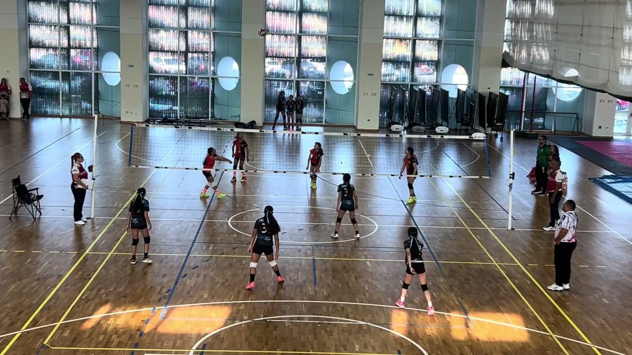 Delfines 13-14-15 vs Elite 2 set