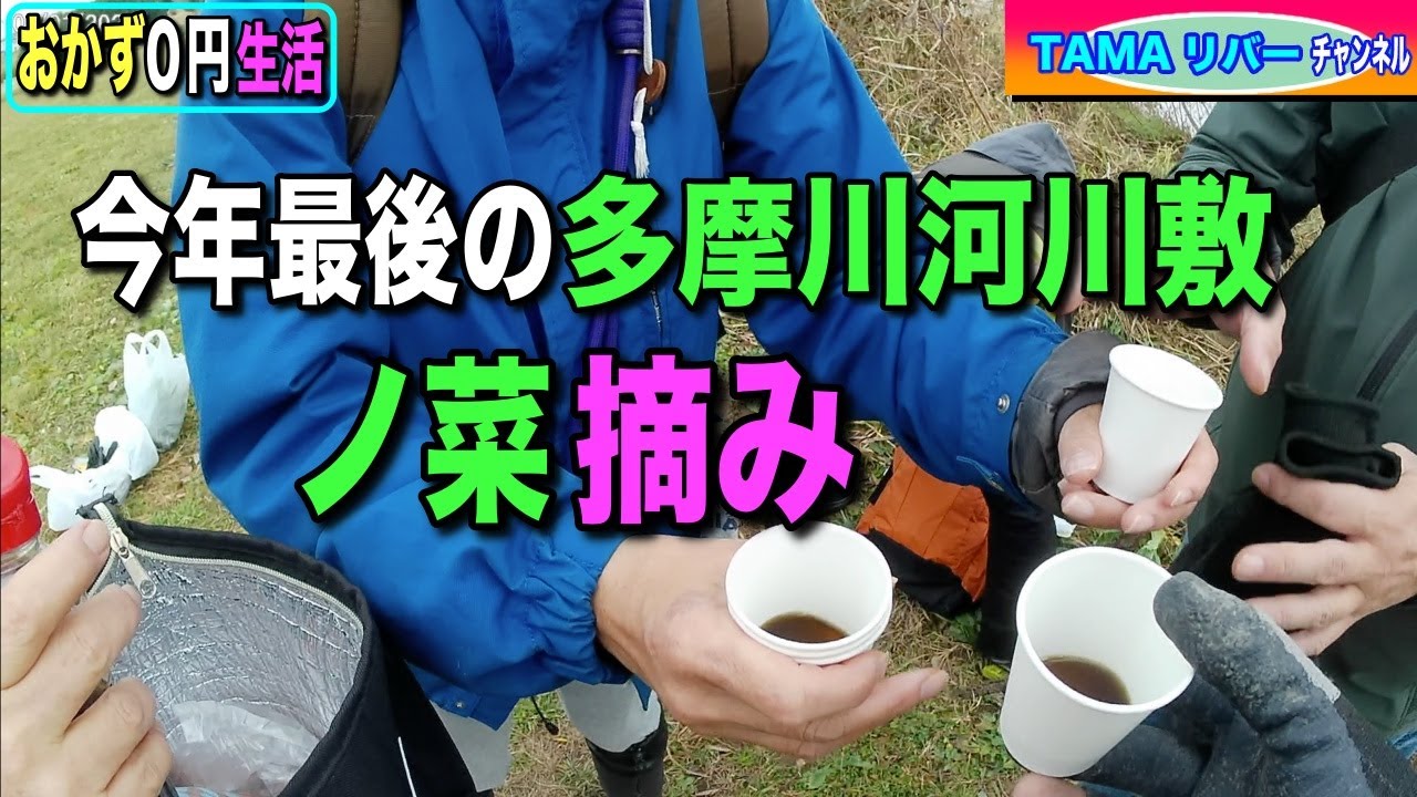 【おかず０円生活】2025年　多摩川河川敷最後のノ菜摘み