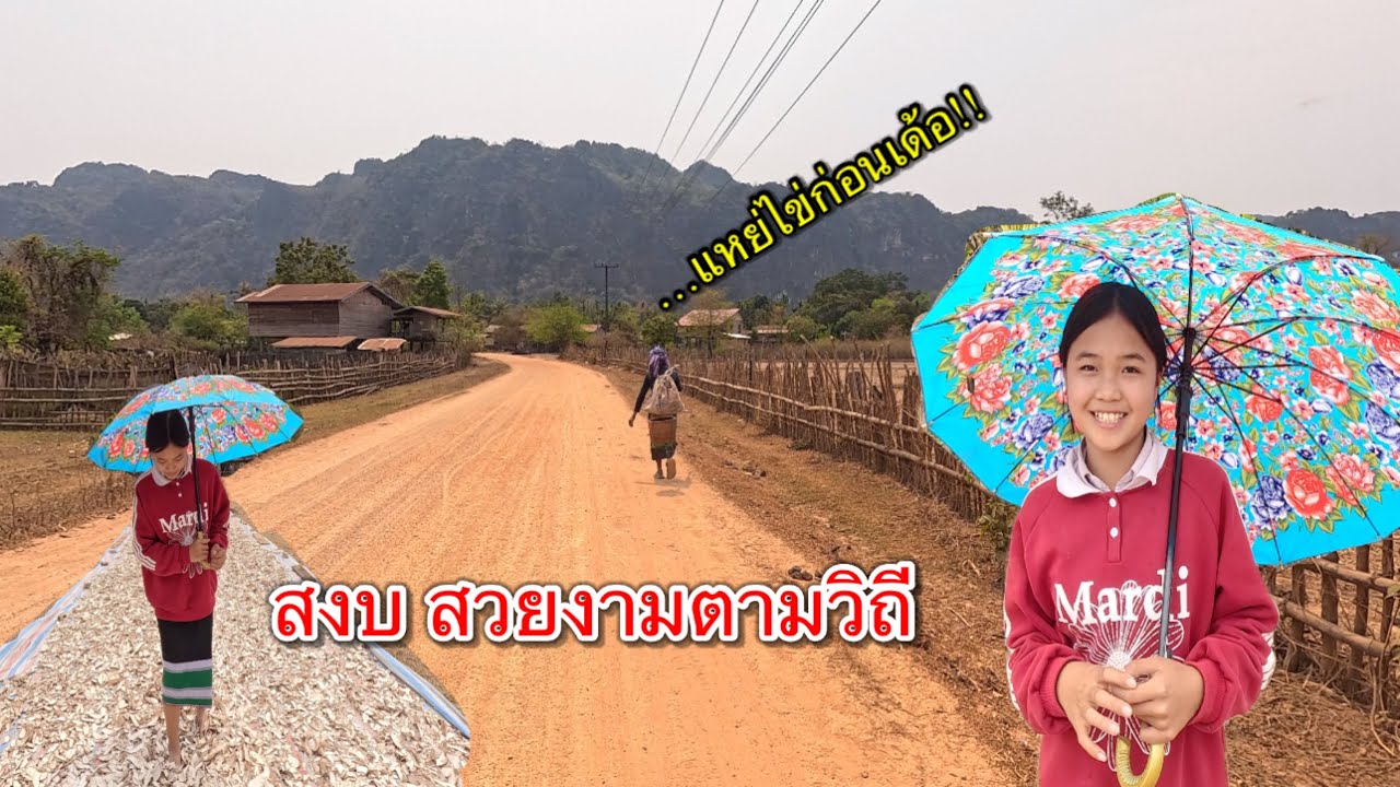 เที่ยวลาว ชมหมู่บ้านชนบทในลาว เจอสาวนักเรียนลาวขยันมาก พักเที่ยงมาตากมันสำปะหลัง!!