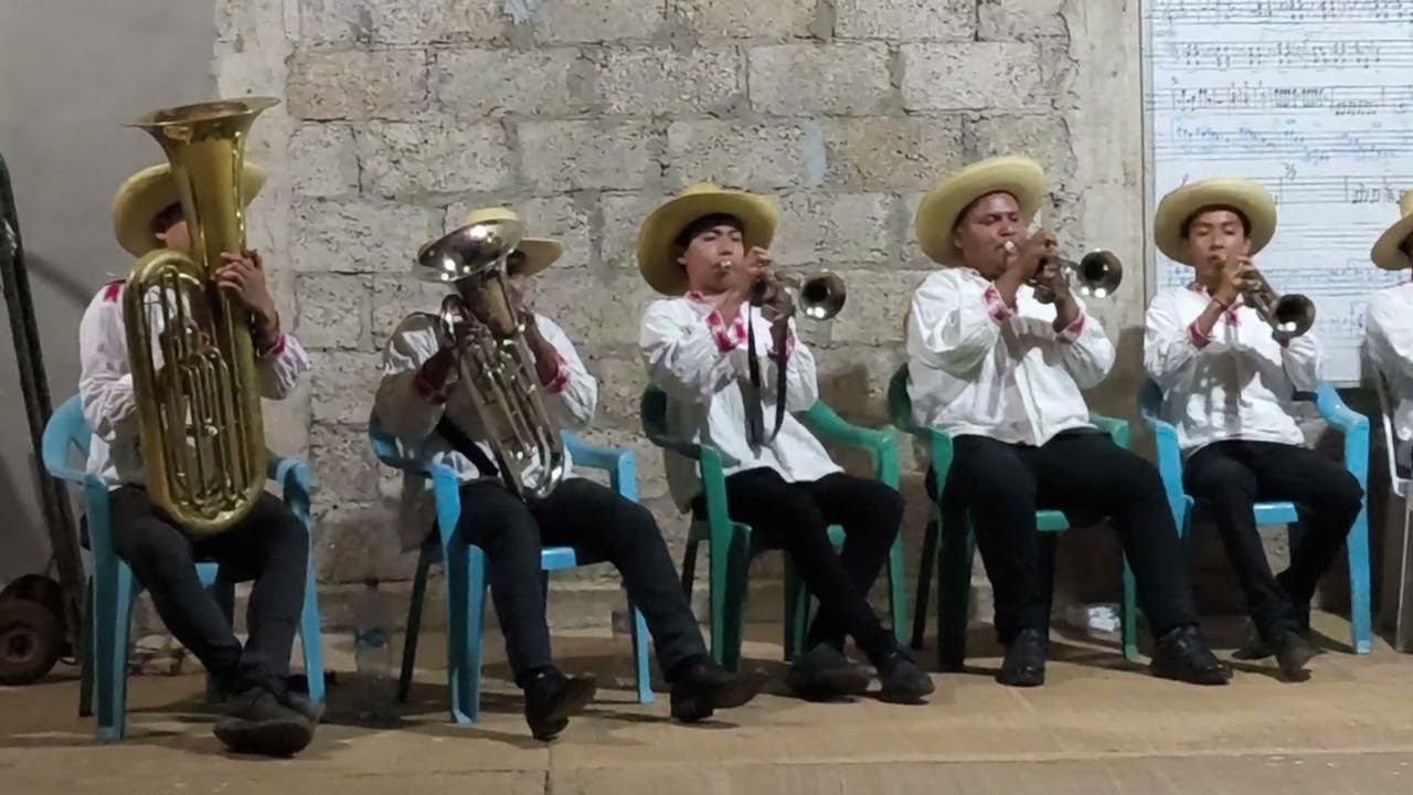 Son de la bestia - Banda Furia Huautlense