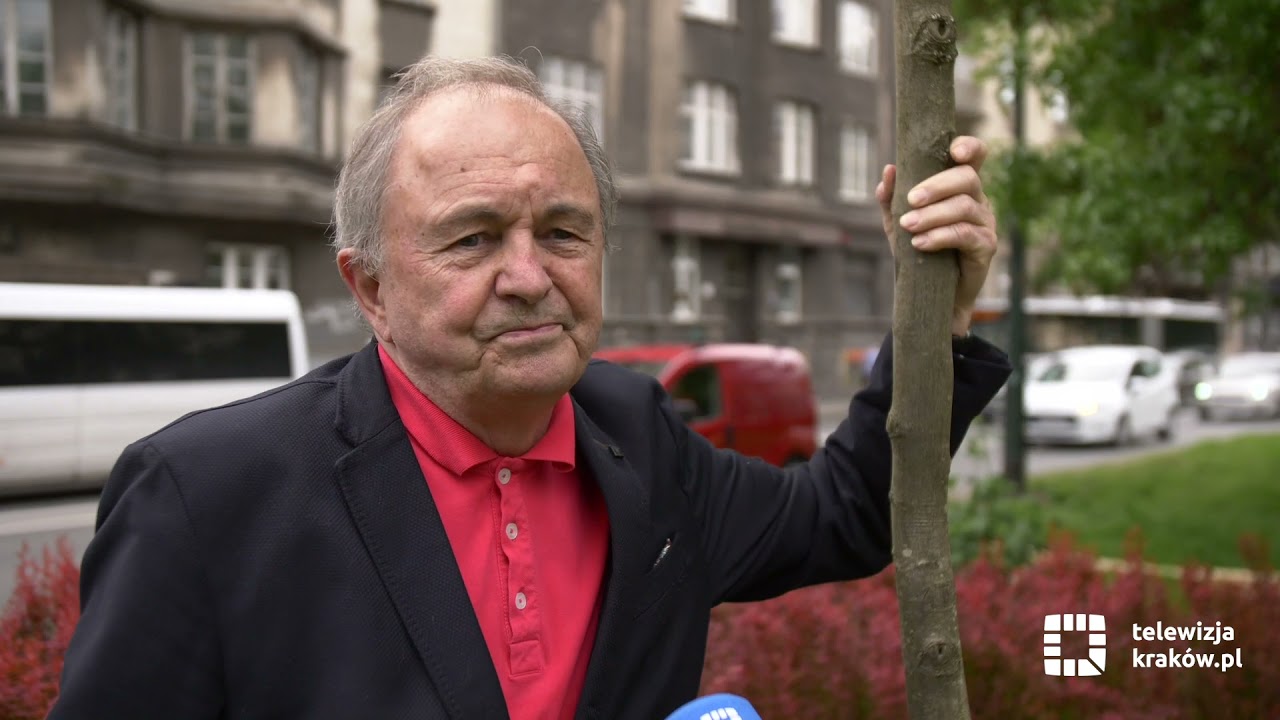 Drzewo ku pamięci Dariusza Gnatowskiego