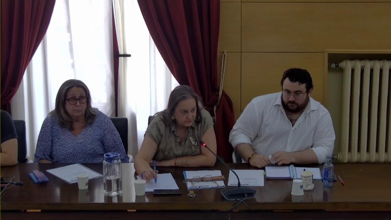 Pleno extraordinario 14/08/2025