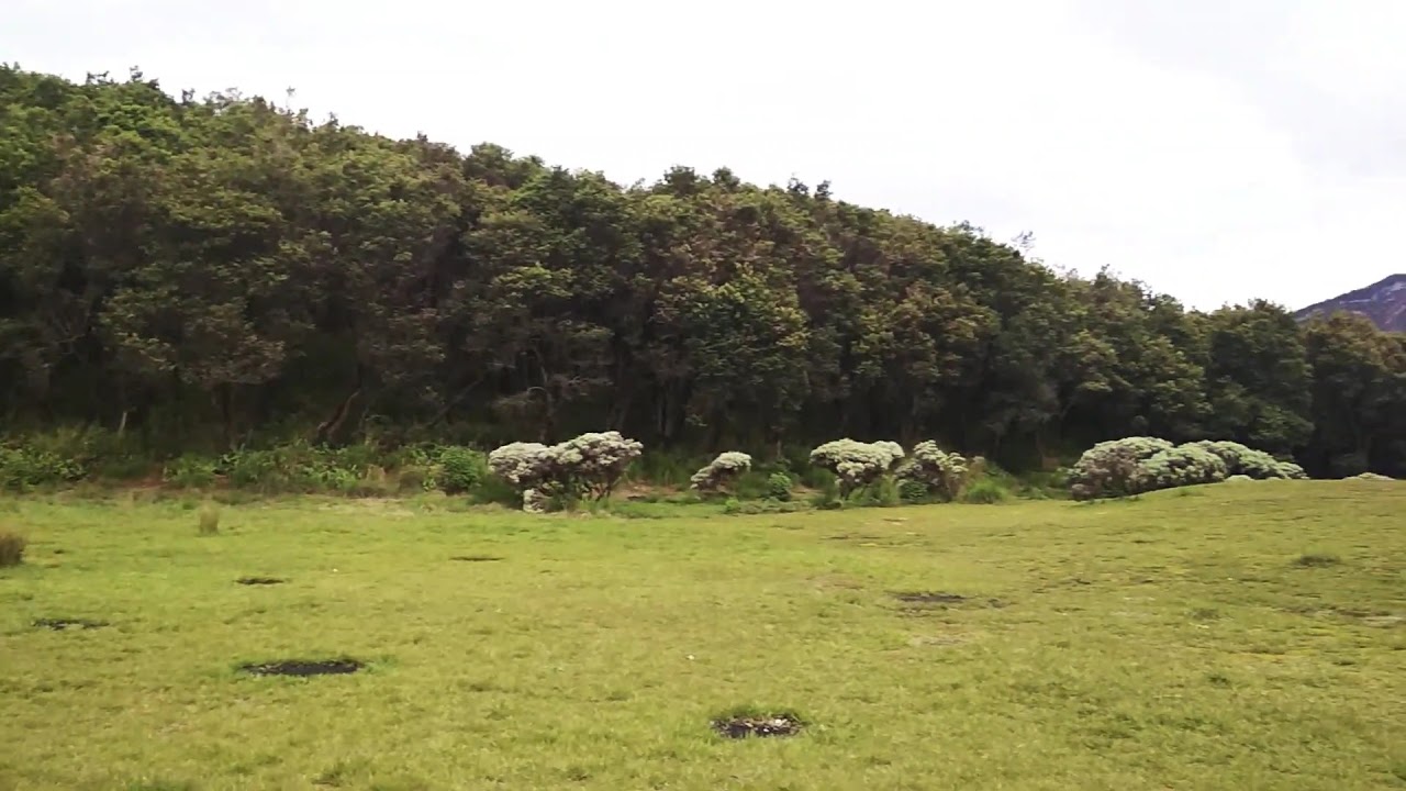 PONDOK SALADAH GUNUNG PAPANDAYAN