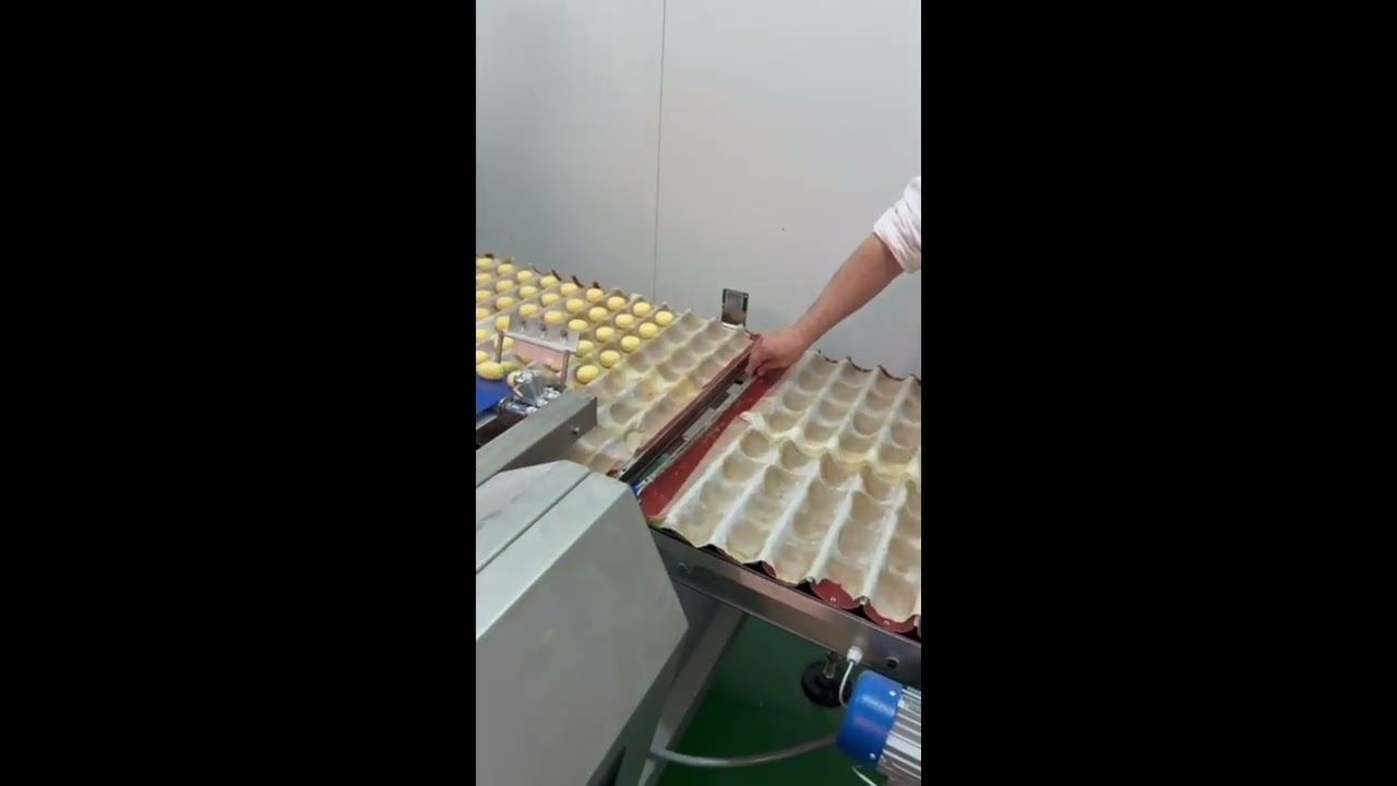 Sandore Depositor- Buns Placing into Moulds