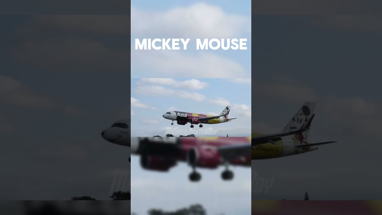 Airlines special liveries: Azul Edition! #aviation #airplane #avgeek #livery