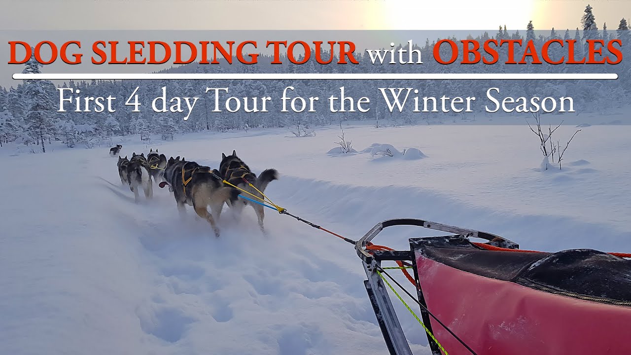 HUSKY SLEDDING TOUR with OBSTACLES | First 4 day Tour for the Winter Season