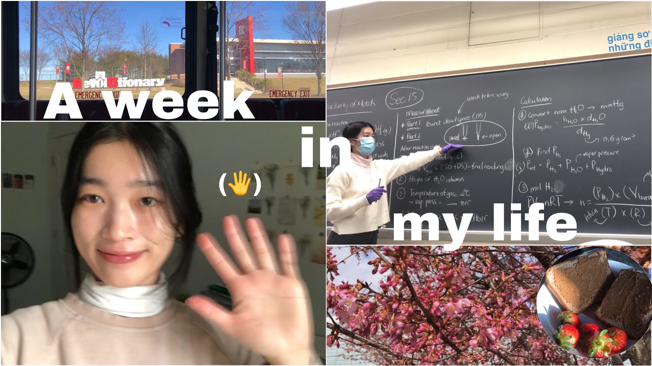 🇺🇸A WEEK IN MY LIFE | 🎓MỘT TUẦN CỦA SINH VIÊN NĂM CUỐI (đi học, đi dạy,…)