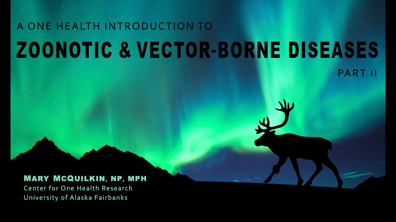 A One Health Introduction to Zoonotic & Vector-Borne Diseases - Part II