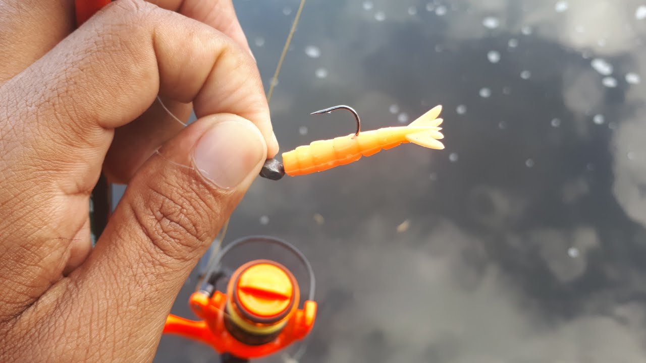 INCR&Iacute;VEL! micro camar&atilde;o nas pedras na pescaria ULTRALIGHT.