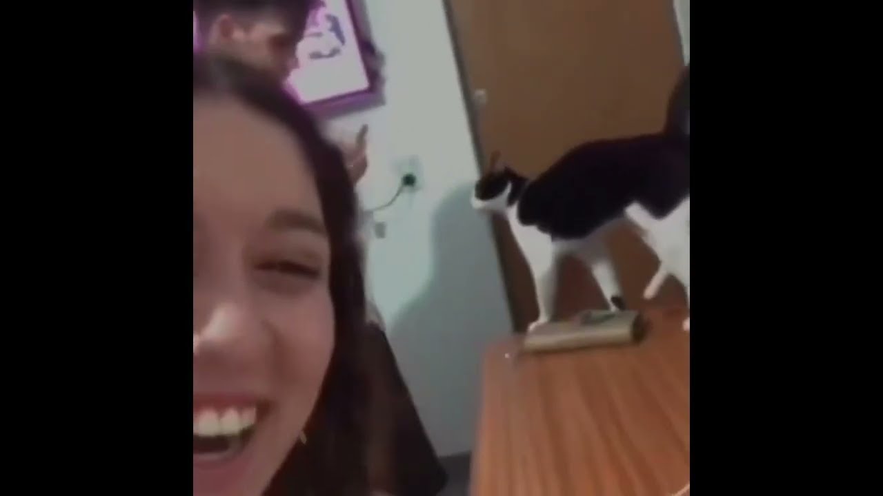 bnuuy compilation 3