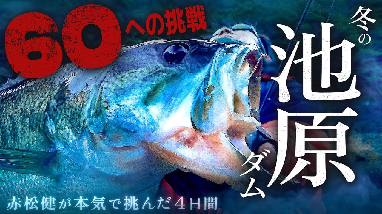 【60チャレンジ】冬の池原ダムで“ロクマル”だけを本気で追う４日間 / 赤松健 【バス釣り】