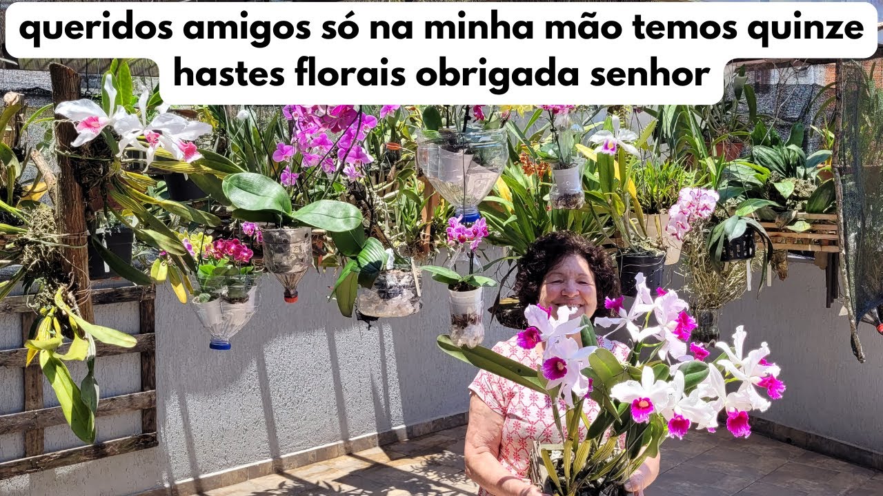 Dicas Dona Maria -queridos amigos só na minha mão temos quinze hastes florais obrigada senhor