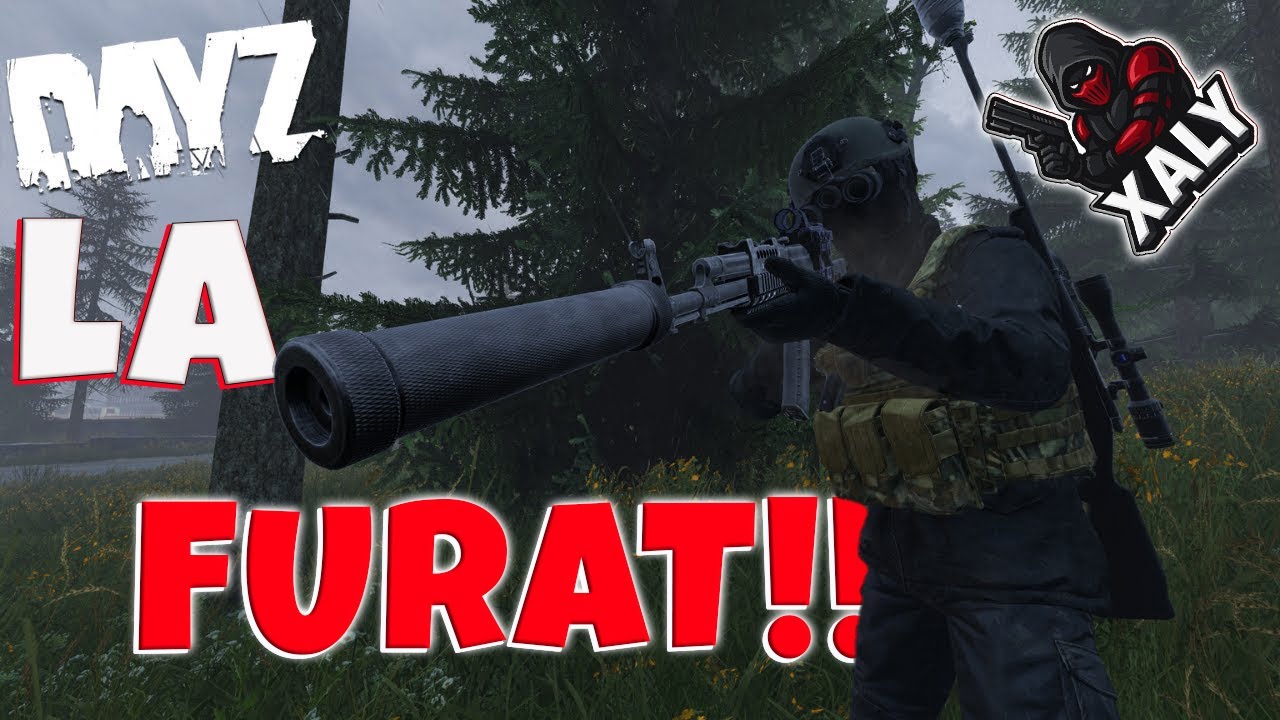 TOTUL A MERS PERFECT… PÂNĂ LA BANCOMAT 💰🔥 DAYZ | CE S-A ÎNTÂMPLAT A RĂMAS MISTER