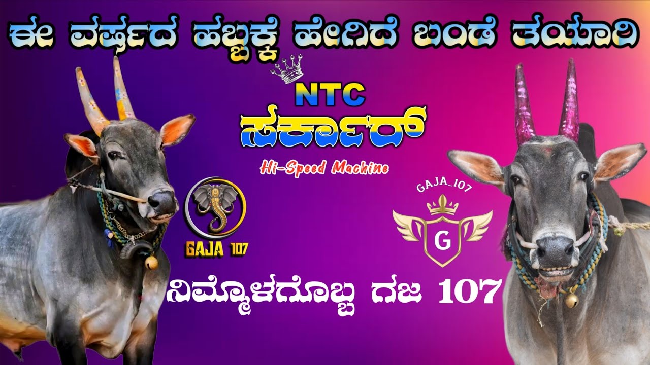 ಹೇಗಿರುತ್ತದೆ ಹಬ್ಬಕ್ಕಾಗಿ NTC ಸರ್ಕಾರ್ (ಬಂಡೆ ) ತಯಾರಿ  💪🫡