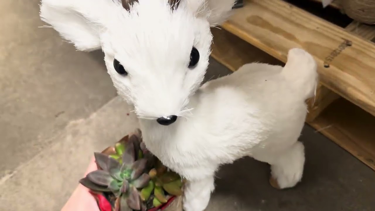 pt. 1 of Home depot asmr 