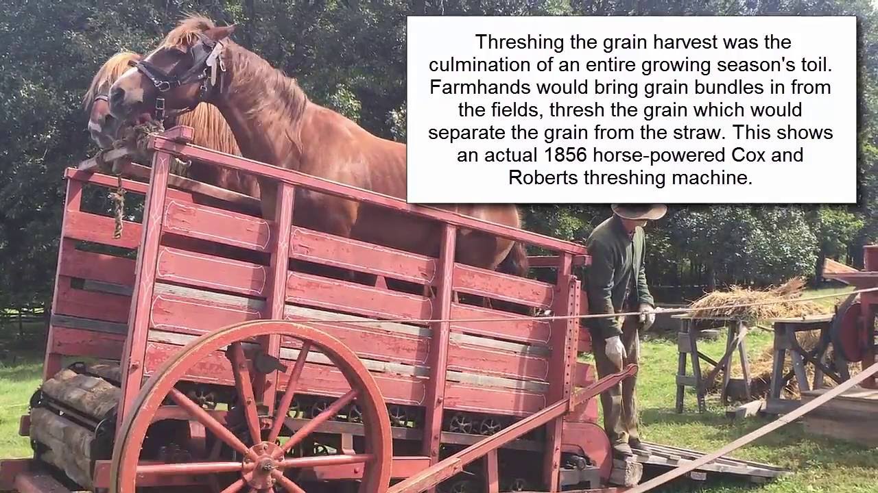 1856 horse-powered Cox and Roberts threshing machine (Kelley Farm Minnesota)