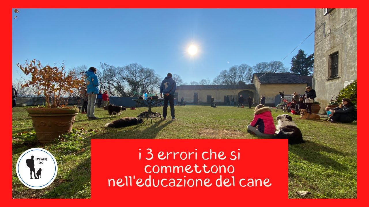 I 3 errori che si commettono nell'educazione del cane!