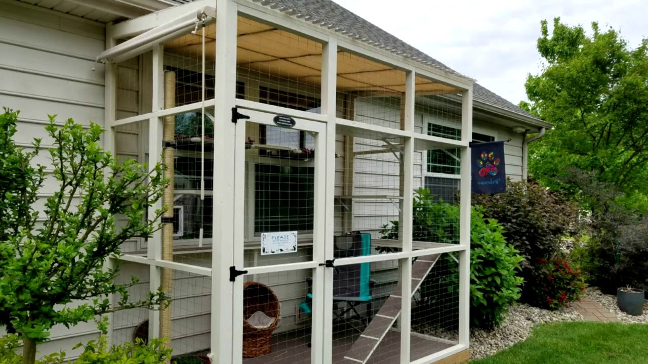 Catio