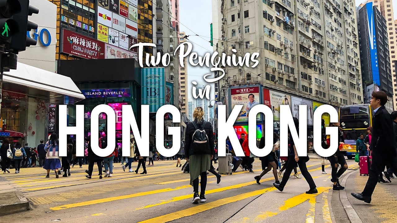 Two Penguins in HONG KONG!