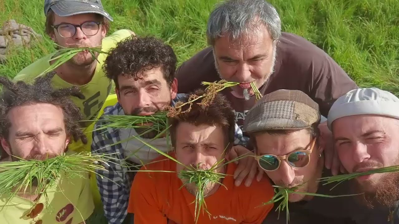 Les P'tits Fils de Jeanine - Les Moutons (Clip)