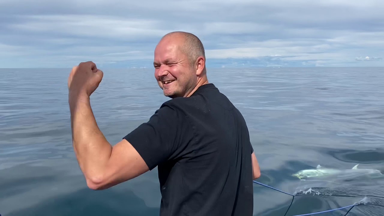 Tunmærkning med DTU 2020