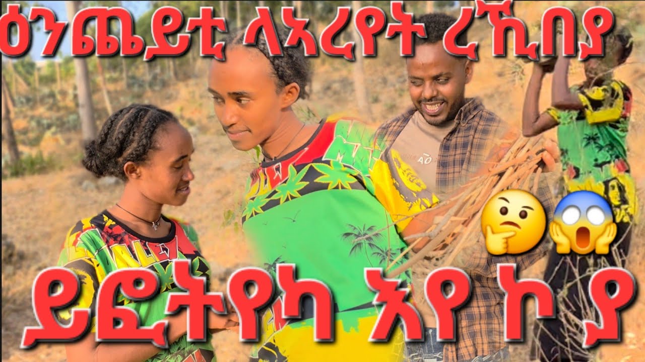 ሕጉሽ ብርኽቲ ፍጥረት ከተማ ይወስዳለኹ ዕንጨይቲ ለኣረየት ረኺበያ ለደይ ክሕግዛ እየ እንጀራ ክጋግረላ ኢላትኒ 