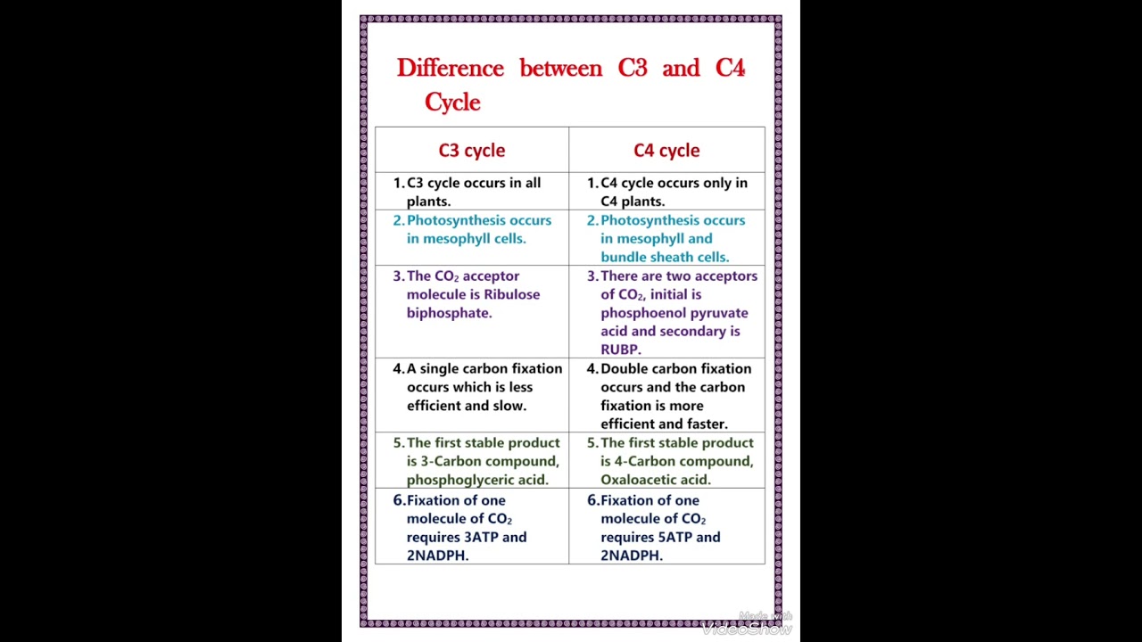 Difference between C3 and C4 cycle