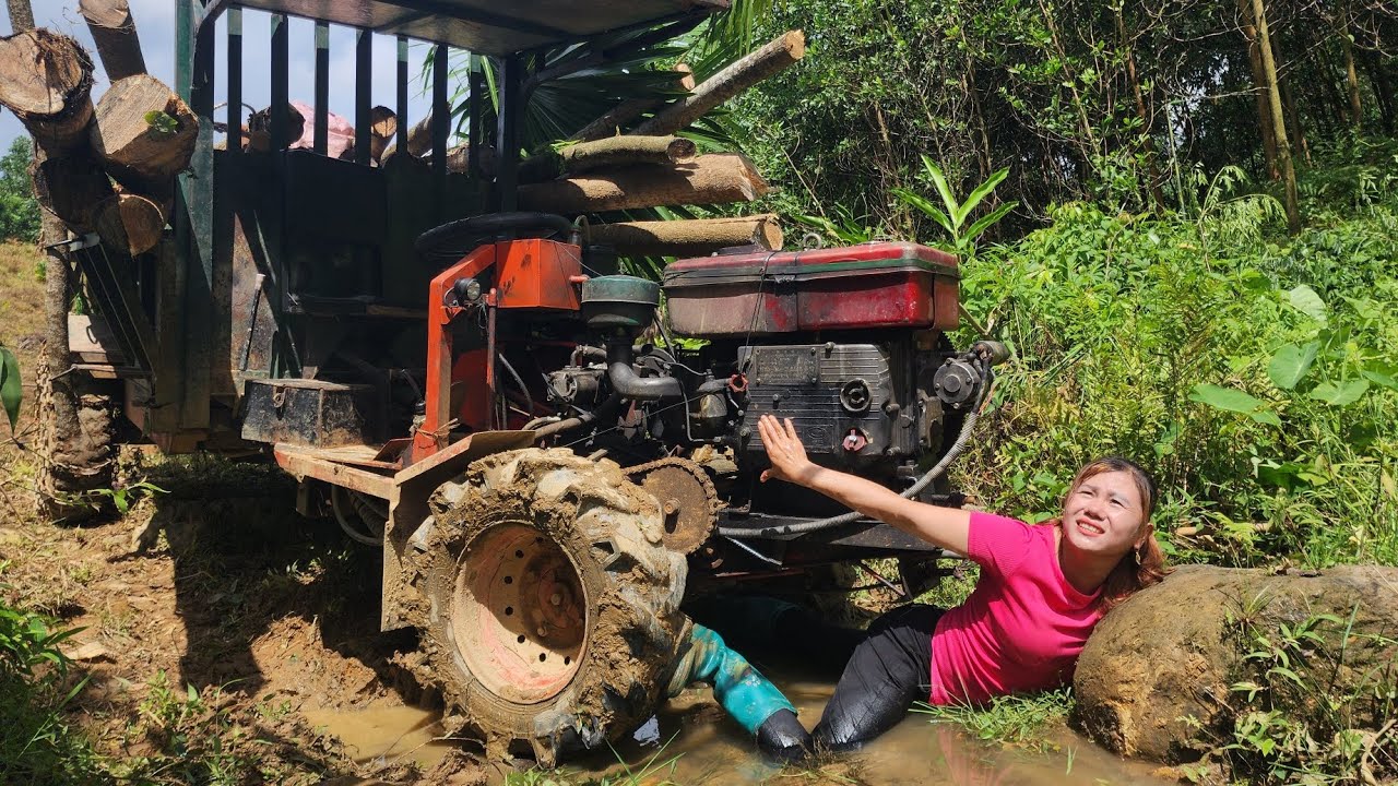 Agricultural vehicle transport #how to cut wood #load wood onto the girl's vehicle