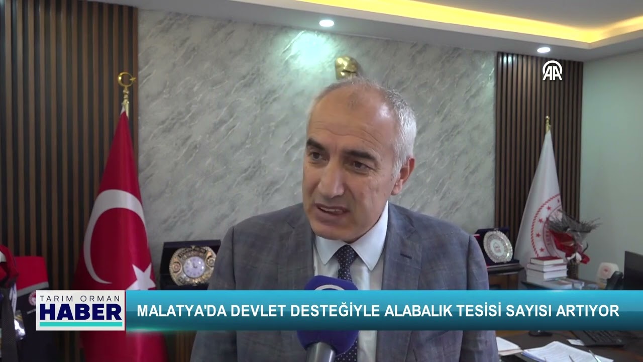 Malatya'da devlet desteğiyle alabalık tesisi sayısı artıyor