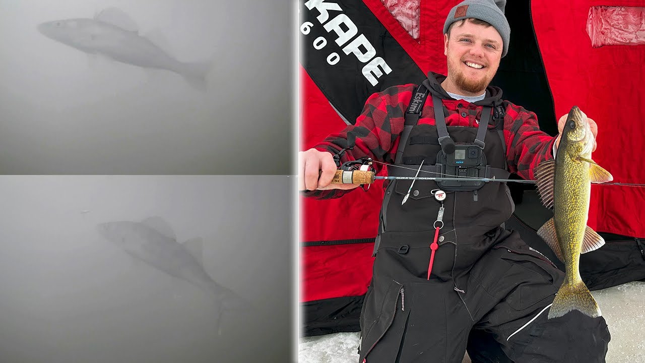 Ice Fishing Lake Poygan SHALLOW Water Walleye (Underwater Strikes!)