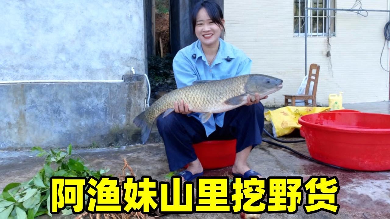 去山里挖野货，看看今天能挖到啥 #dou来广东百千万 #农村【阿渔妹】